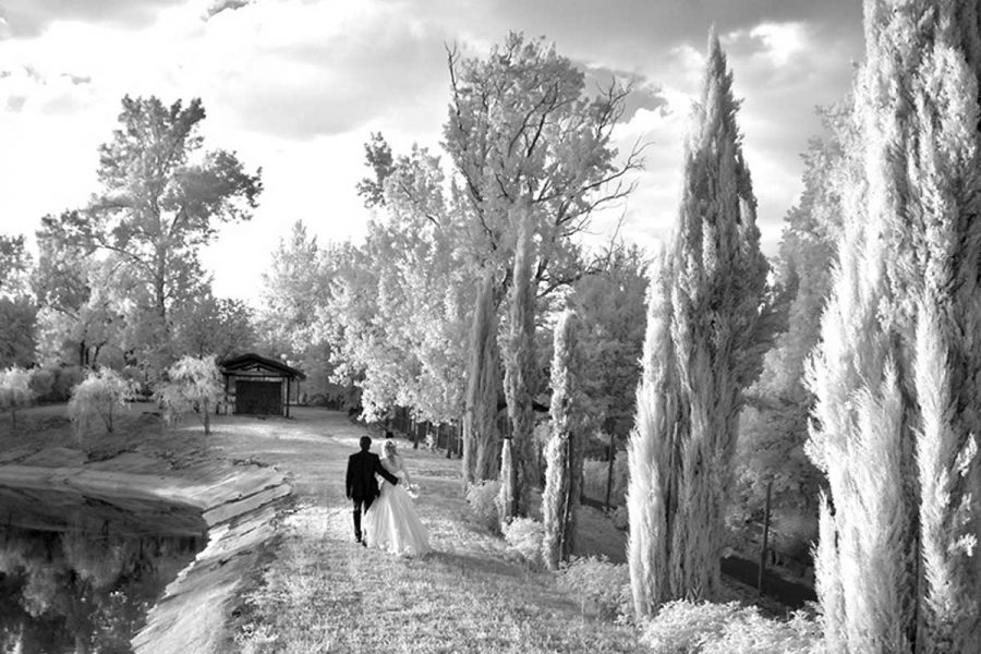 053_wedding-photographer-tuscany_046